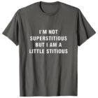 I’m not Superstitious but I am a Little Stitious T-Shirt